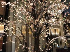-成都安仁福朋喜来登酒店