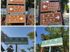 -仙湖旅游度假区