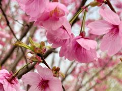 -梁鸿国家湿地公园