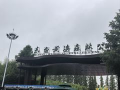 -黄海国家森林公园