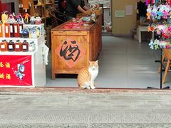 -中天楼