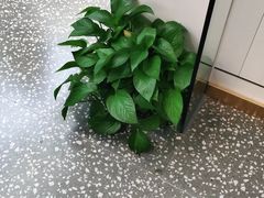 -张钰强中医正骨推拿连锁(唐家人才公寓店)
