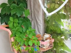 -后海16号·北京私房菜