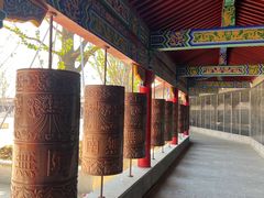 -皇罗禅寺