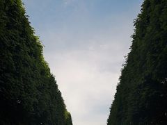 -卢森堡公园