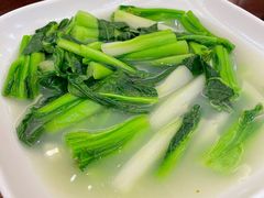 上汤菜心-京华世纪酒店·潮苑大酒楼(益华百货店)