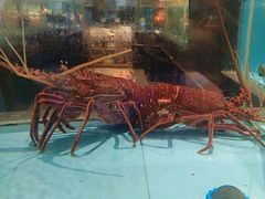 -阿伟海鲜楼·福建菜(延寿店)