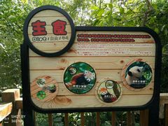 -成都大熊猫繁育研究基地