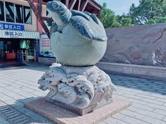 -广东惠东海龟国家级自然保护区