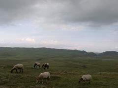 -橡皮山