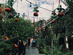 -The Grounds of Alexandria