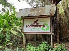 -大象粑粑造纸公园