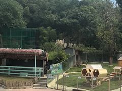 -杭州开元森泊度假乐园