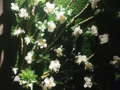 -仟汇足道·SPA(秀洲总店)