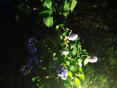 -大妙火锅·非物质文化遗产(东湖公园店)