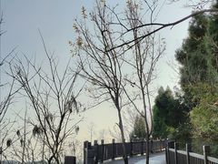 -仙海旅游度假区