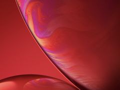 -玫瑰苑烧腊饭店