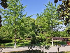 -冶父山国家森林公园