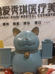 -深圳鹏爱秀琪医疗美容医院