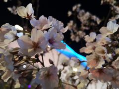 -吕氏疙瘩汤·新鲁菜(济南万象城店)