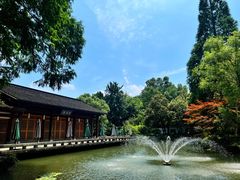 -杭州植物园