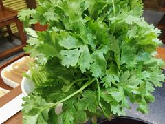 香菜-沸炉重庆老火锅(军事博物馆店)