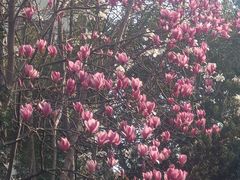 -上海海洋水族馆