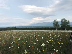 景点-富田农场