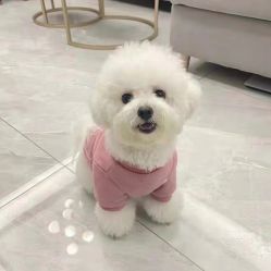 -幻贝家儿童乐园(苏州中心店)