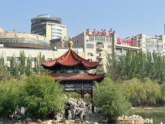 -青城公园