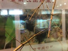 -上海昆虫博物馆