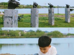 -杭州湾海上花田景区