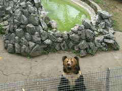 -成都动物园