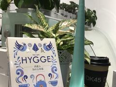 -DK45丹麦家居生活馆·依诺维绅(798店)