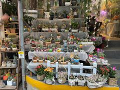 -循礼门鲜花花市(武汉循礼门店)