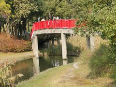 -美兰湖景区