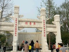 -武清南湖绿博园