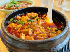 -陈麻婆豆腐总店
