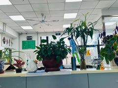 -利又安动物医院··老年病·猫科犬科·中兽医