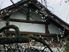 -杭州植物园