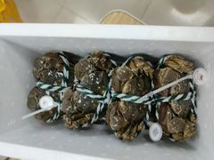 -祥鹤龙虾螃蟹