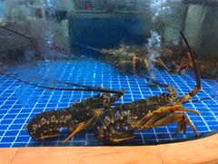 -花中城·杭帮菜·粤菜·海鲜火锅(清泰街店)