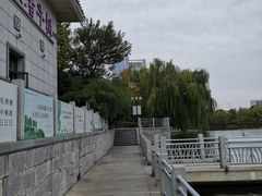 -聚龙湖公园