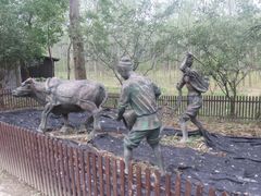 -合肥滨湖国家森林公园