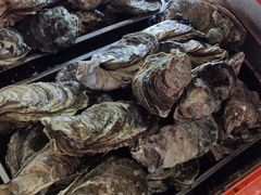-土蚝·高压锅生蚝(百姓美食街店)
