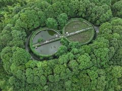 -子昂故里文化旅游区