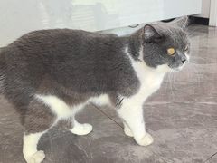 -东莞宠友24H宠物中心医院·转诊夜诊·异宠(新河北路院)