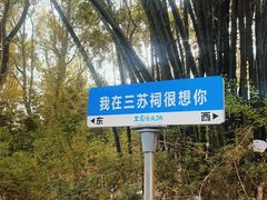 -王家渡火锅(三苏祠店)