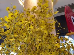 iphone_upload_pic-哈根达斯(武汉天地店)