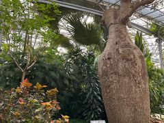 -北京植物园-展览温室